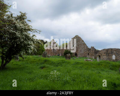 Bonamargy Friary, comté d'Antrim, en Irlande du Nord Banque D'Images