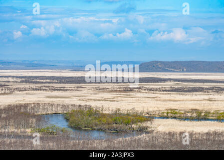 Parc national de Kushiro Shitsugen à Hokkaïdo au printemps, vue du pont d'observation Hosooka, la plus grande zone humide au Japon. Le parc est connu pour ses Banque D'Images