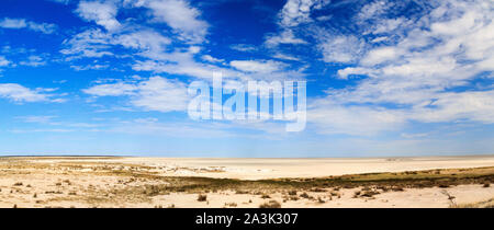 Panorama de l'énorme pan de sel de l'Etosha National Park, Namibie, Afrique Banque D'Images