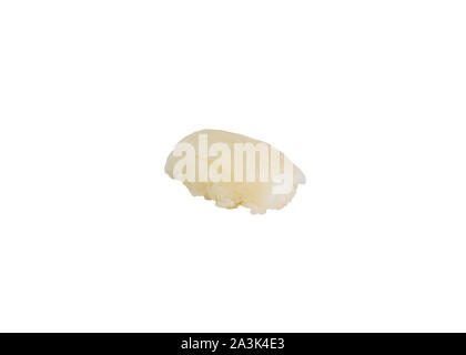 Aori squid Ika nigiri sushi cuisine japonaise. isolé sur fond blanc Banque D'Images