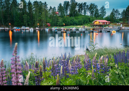 La Suède. Belle maison en bois suédoise Log Cabin et Pier près du lac en été Soir Nuit. Paysage du lac ou de la rivière. Banque D'Images