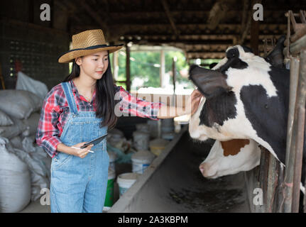 Les femmes asiatiques l'agriculture et l'industrie de l'agriculture et l'élevage concept - les jeunes femmes ou de l'agriculteur avec ordinateur tablet pc et les vaches laitières en étable sur Banque D'Images