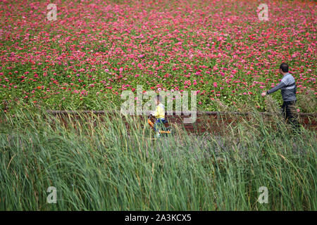 Hefei, Chine, Anhui Province. 9 octobre, 2019. Les gens s'amuser dans un parc de la ville de Hefei, capitale de la Chine de l'est la province de l'Anhui, le 9 octobre 2019. Credit : Zhang Duan/Xinhua/Alamy Live News Banque D'Images