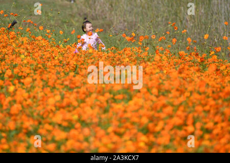 Hefei, Chine, Anhui Province. 9 octobre, 2019. Un enfant est considéré à un parc de la ville de Hefei, capitale de la Chine de l'est la province de l'Anhui, le 9 octobre 2019. Credit : Zhang Duan/Xinhua/Alamy Live News Banque D'Images