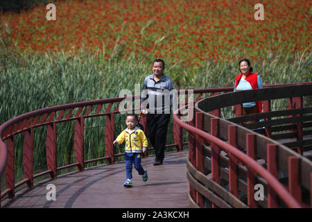 Hefei, Chine, Anhui Province. 9 octobre, 2019. Les gens s'amuser dans un parc de la ville de Hefei, capitale de la Chine de l'est la province de l'Anhui, le 9 octobre 2019. Credit : Zhang Duan/Xinhua/Alamy Live News Banque D'Images