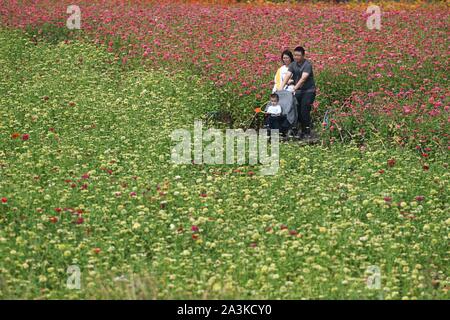 Hefei, Chine, Anhui Province. 9 octobre, 2019. Les gens s'amuser dans un parc de la ville de Hefei, capitale de la Chine de l'est la province de l'Anhui, le 9 octobre 2019. Credit : Zhang Duan/Xinhua/Alamy Live News Banque D'Images