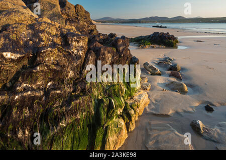 Rochers incrustés de balanes et algues sur cinq doigts Strand, Trawbreaga Bay et Dunaff Head de soldats Hill, péninsule d'Inishowen, Co Donegal, Irlande Banque D'Images