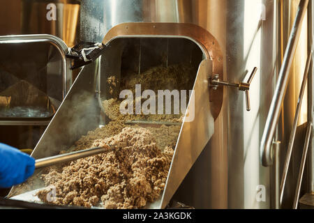 L'écrasement de graines de malt broyé pour la préparation du malt. Processus de grain d'orge de brasserie. Banque D'Images