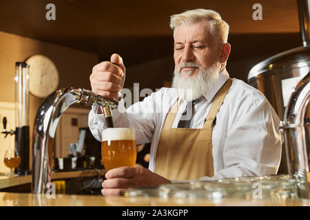 Beau, personnes âgées barman de comptoir bar verser la bière légère. Homme barbu en chemise blanche et tablier brun holding verre bière blonde avec de la mousse. Concept de brasserie et de trading. Banque D'Images