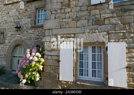 Roscoff, Finistère / France - 21 août 2019 : maison en pierre typique en Bretagne avant avec lits de fleurs d'hortensias colorés Banque D'Images