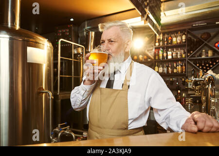 Personnes âgées en barman barbu brown tablier, debout au comptoir de la brasserie mini et de boire la bière savoureuse froide. Brasserie Bière beau expert, à l'hôtel. Banque D'Images