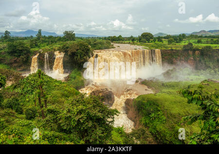 Cascade du Nil bleu dans al-Nahr al-Azraq Lac Tana, Ethiopie Banque D'Images