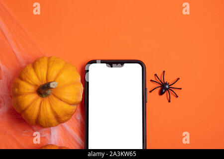 Blanc à blanc de l'écran du smartphone avec des citrouilles et des araignées Banque D'Images