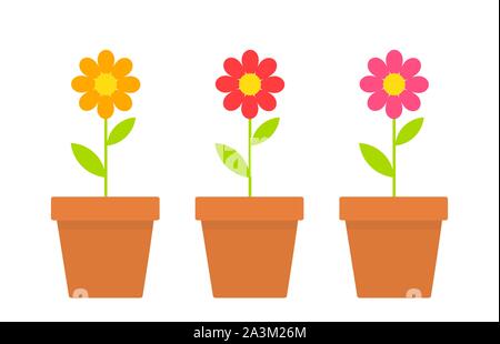 Daisy printemps fleurs en pots. Vector illustration Illustration de Vecteur