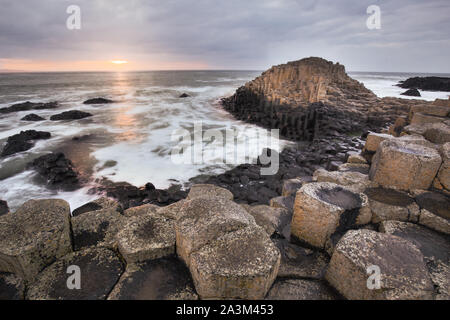 Giant's Causeway, co Antrim, en Irlande du Nord, Royaume-Uni Banque D'Images
