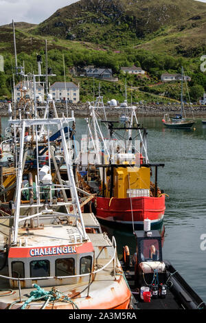 Bateaux de pêche dans le port de Mallaig Inverness-shire Lochaber Highland Ecosse Banque D'Images