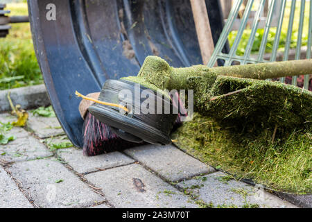 Rétro-éclairage dans la Forêt Noire Allemagne Banque D'Images