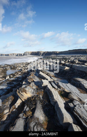 Plage de Kilve. Le Somerset. UK. Couches alternées de calcaire et de schiste créer ces étagères intertidaux et les stries dans les falaises. Banque D'Images