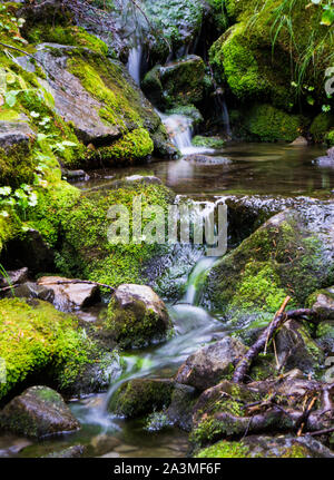 Un joli ruisseau de montagne coule sur les pierres couvertes de mousse Banque D'Images