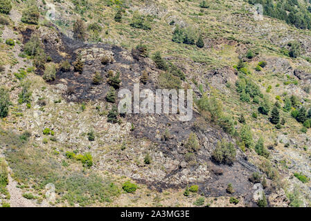 Région où il y a eu un incendie sur la Montagne de la Costa à Canillo, Andorre. Banque D'Images