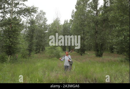 (191009) -- FUXIN, 9 octobre 2019 (Xinhua) -- Hou Gui pose avant le premier lot d'arbres qu'il a plantés en forêt dans le comté de Zhangwu Fuxin City, Liaoning Province du nord-est de la Chine, le 17 juillet 2019. Hou Gui, 68, est un villageois de Liujia Village d'Sihecheng Ville de Zhangwu Comté. Vivant à la limite sud de Horqin sandy land, Hou a planté plus de 200 000 arbres sur 2 400 UM (160 hectares) de terres de sable au cours des 18 dernières années. 'Lorsque j'étais enfant, le vent souffle le sable et je ne pouvais rien voir." Hou Gui a dit. Afin de protéger sa patrie, Hou Gui a commencé le boisement en 2001. Banque D'Images