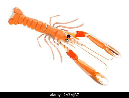 Langoustines fraîches pour l'icône menu design isolé sur fond blanc, de fruits de mer sains, vector illustration. Illustration de Vecteur