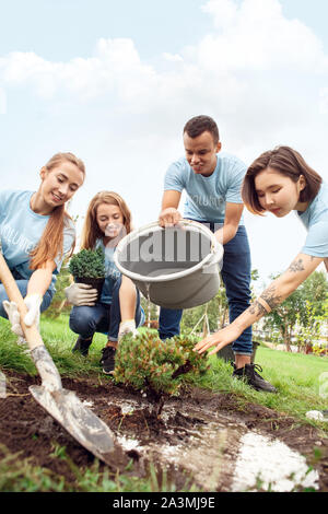 Le volontariat. Les jeunes bénévoles à l'extérieur la plantation d'arbres ainsi verser de l'eau sur le sol smiling happy Banque D'Images