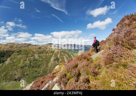 Femme de la randonnée au rocher de l'aigle dans le Lake District. Banque D'Images