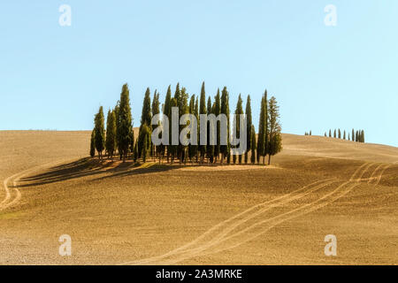 Les paysages typiques de la province de Sienne en Toscane, Italie. Collines du Cyprès, les champs labourés, les routes et les maisons. Début de saison d'automne. Banque D'Images