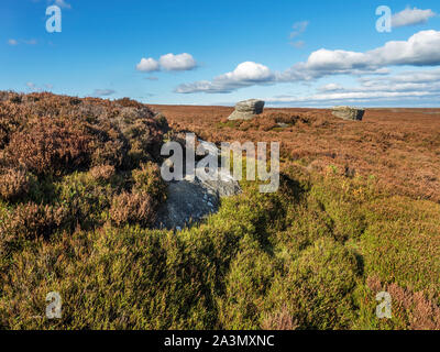 Les roches pierre meulière sur Moor Campsites Canet-en-Roussillon Campsites Canet-en-Roussillon proche de Nidderdale Yorkshire Angleterre du Nord Banque D'Images