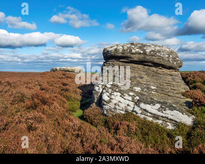 Les roches pierre meulière sur Moor Campsites Canet-en-Roussillon Campsites Canet-en-Roussillon proche de Nidderdale Yorkshire Angleterre du Nord Banque D'Images