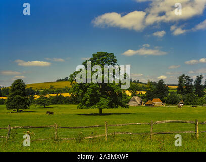 Weald et Downland musée vivant. South Downs. West Sussex. L'Angleterre. Banque D'Images