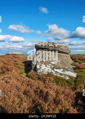 Les roches pierre meulière sur Moor Campsites Canet-en-Roussillon Campsites Canet-en-Roussillon proche de Nidderdale Yorkshire Angleterre du Nord Banque D'Images