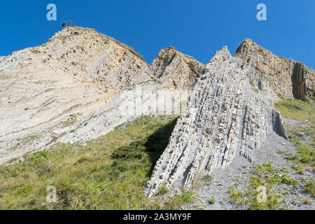 Des formations de roche sédimentaire appelée flysch, sur la Côte Basque Geopark à Itzurun Beach, Zumaia, Espagne, Europe Banque D'Images