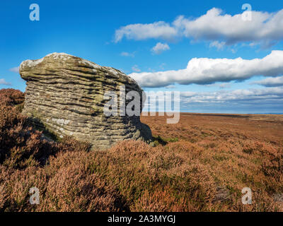 Rock pierre meulière sur Moor Campsites Canet-en-Roussillon Campsites Canet-en-Roussillon proche de Nidderdale Yorkshire Angleterre du Nord Banque D'Images