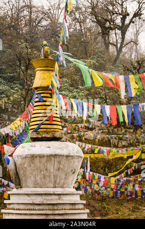 Petit stupa décoré de drapeaux de prière au Bhoutan. Banque D'Images