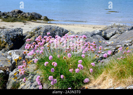 Plage de Traigh Lochaber Arisaig Inverness Ecosse Highland Banque D'Images