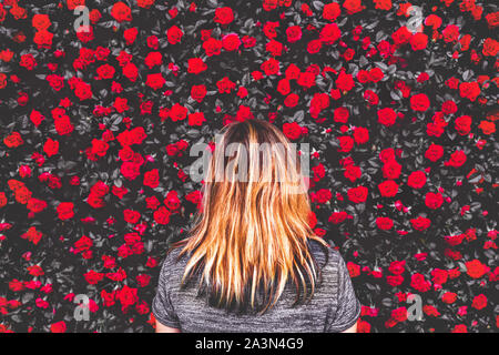 Femme parmi les roses rouges background Banque D'Images