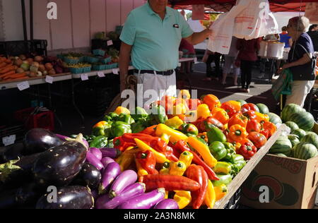 Chantilly, VA / USA - 19 septembre 2019 : des poivrons multicolores et d'aubergines au marché des fermiers de la Communauté Chantilly Foodworks Banque D'Images