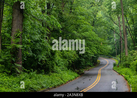 La route sinueuse à deux voies mène à des bois verdoyants autour d'un virage aveugle Banque D'Images