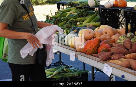 Chantilly, VA / USA - 19 septembre 2019 : décision d'achat à la communauté Chantilly Foodworks Farmers Market Banque D'Images