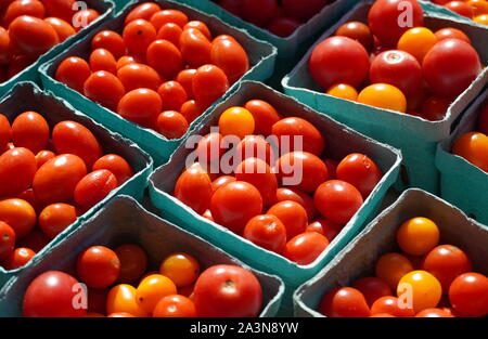 Chantilly, VA / USA - 19 septembre 2019 : les tomates raisins au marché des fermiers de la Communauté Chantilly Foodworks Banque D'Images