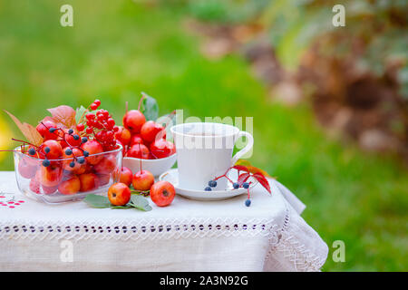 Blanc une tasse de thé chaud avec des pommes de paradis dans la matinée dans le jardin, avec un flou d'arrière-plan naturel. Bonjour. Banque D'Images