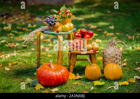 Composition d'automne aux pommes, raisins et citrouille situé dans le jardin. Chasse d'automne. Chaude journée ensoleillée d'automne, feuillage et fleurs. Banque D'Images