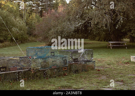 Des piles de casiers à homard Homard à l'extérieur d'un livre sur l'affichage à Bar Harbor, Maine lors d'une fraîche matinée d'automne. Banque D'Images