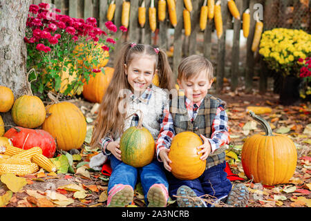 Little girl et boy picking citrouilles pour Halloween Pumpkin Patch. Les enfants choisir des légumes mûrs à la ferme pendant la saison de vacances. La récolte d'automne Banque D'Images