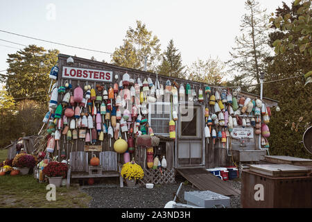 Bar Harbor Maine - Septembre 28th, 2019 : Le Homard des bouées et dans un décor nautique Lobster Pound à Bar Harbor au lever du soleil. Banque D'Images