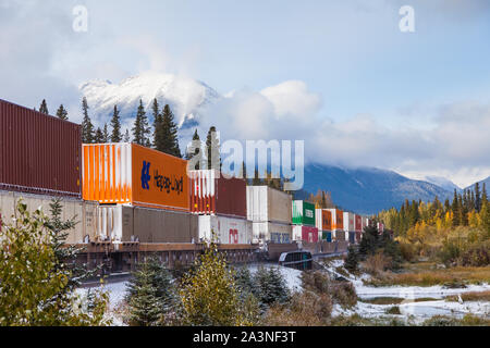 Train de marchandises du Canadien Pacifique en passant par le parc national Banff en direction de Vancouver Banque D'Images