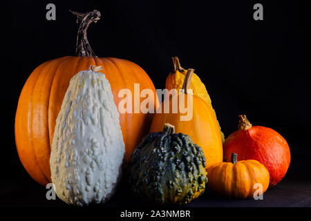 Potiron et courges de saison Banque D'Images