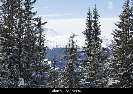 Davos et Klosters Ski de montagne Madrisa 2019 Banque D'Images